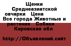 Щенки Среднеазиатской овчарки › Цена ­ 30 000 - Все города Животные и растения » Собаки   . Кировская обл.